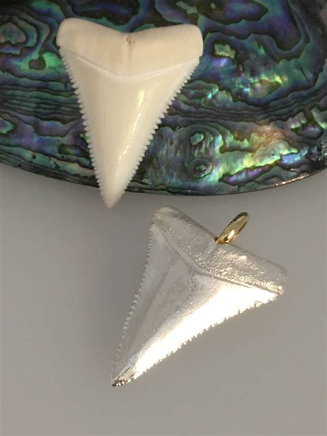 Great White Shark Tooth Necklace - Fabulous Handmade Silver & 9ct Yellow Gold Pendant: Shark ...