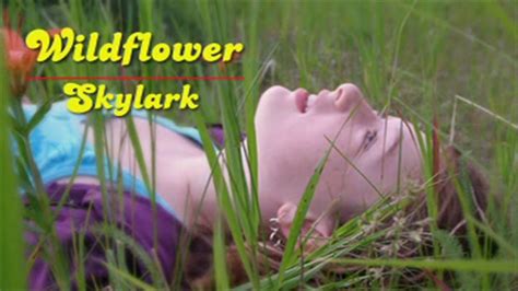 Wildflower - Skylark [HD] - YouTube