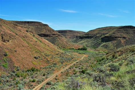 Douglas Creek Canyon - Badger Mountain — Washington Trails Association