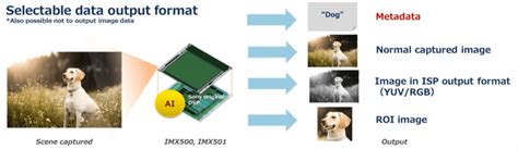 Sony announces IMX500 and IMX501, the first image sensors with built-in AI