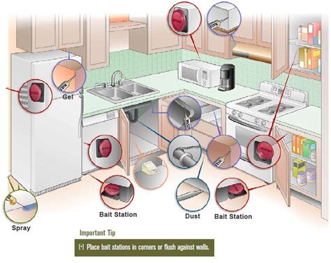 How To Get Rid Of Roaches In Kitchen Cabinets - Kitchen Ideas Style