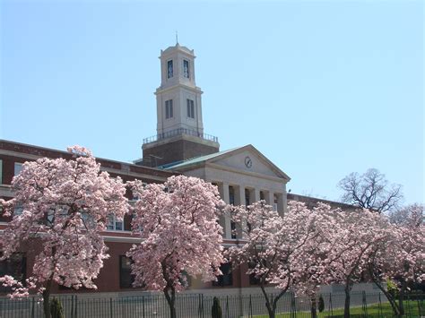 fort hamilton high school Bay ridge brooklyn - Google Images | Hamilton ...