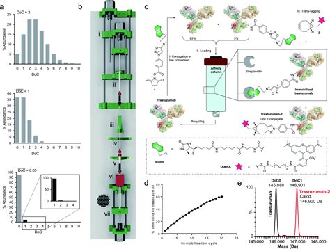 Automated linkage of proteins and payloads producing monodisperse conjugates - Chemical Science ...