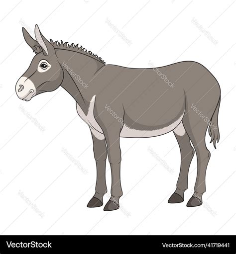 Color with gray donkey mule Royalty Free Vector Image