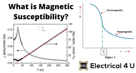 Magnetic Susceptibility | Electrical4U