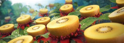 Zespri Kiwifruit - Common Good