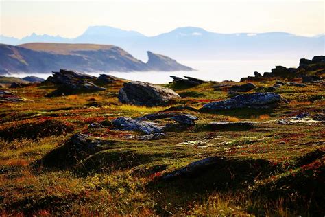 Scandinavian Peninsula Landscape