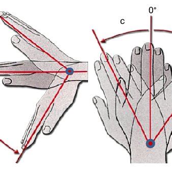 Upper body of the humanoid robot ARMAR III. | Download Scientific Diagram