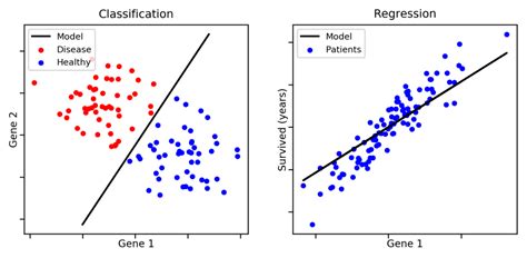 Apprentissage Supervisé Vs. Non Supervisé - BrightCape