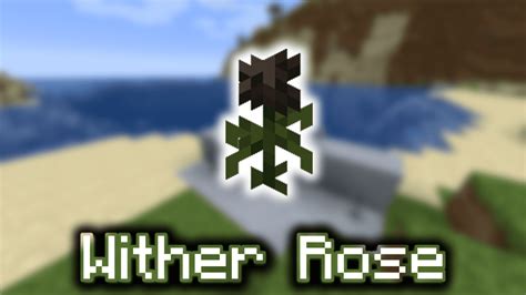 Wither Rose - Wiki Guide - 9Minecraft.Net