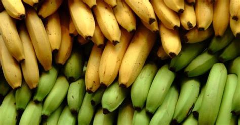 Bananas being threatened by a disease