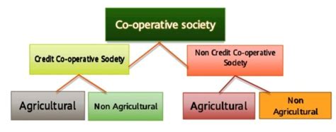 Co-operative society in India |Definition|Features|Types|Benefits