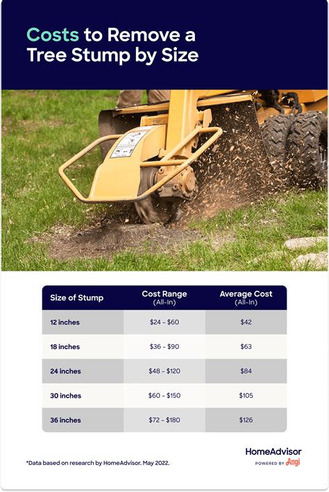 How Much Does Stump Grinding Cost?