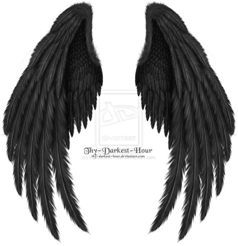 Black Wings | Asas pretas de anjo, Tatuagem de asas, Desenho de asas de anjo