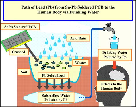 Shows lead's toxicity in (PCBs) effects on human health. Source: Napp ...