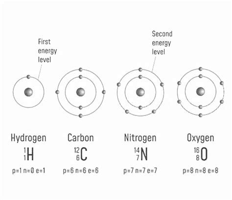 [Solved] Diagram atomic structures for carbon, hydrogen, oxygen, and ...