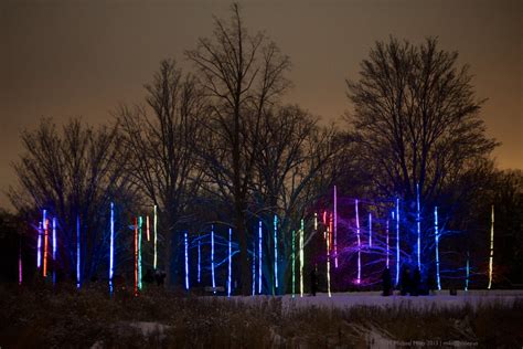 Morton Arboretum Illumination 5 | Tinsel Colonnade | H. Michael Miley ...