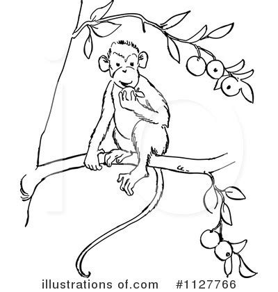 Monkey Line Drawing at GetDrawings.com | Free for personal use Monkey ...