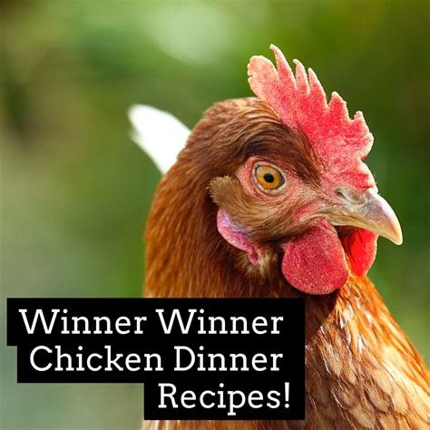 Winner Winner Chicken Dinner Recipes | Chicken dinner recipes, Winner winner chicken dinner ...