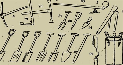 Types of Soil: Boost Your Garden's Growth