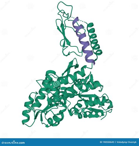 Structure of Human Parathyroid Hormone Purple in Complex with the Extracellular Domain of Its G ...