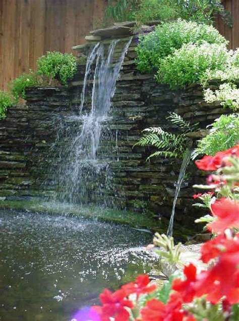 Koi Pond With Waterfall | Koi Fish Care Info