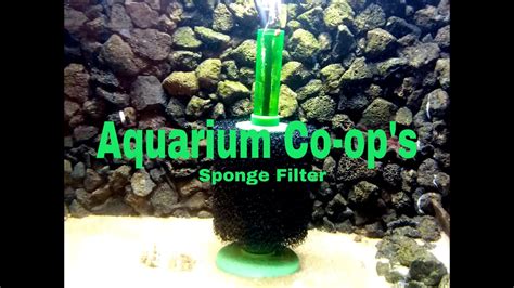 Review of Aquarium Co-op's Sponge Filter - YouTube