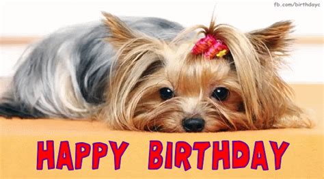 Cute dog, birthday gif message | Happy Birthday