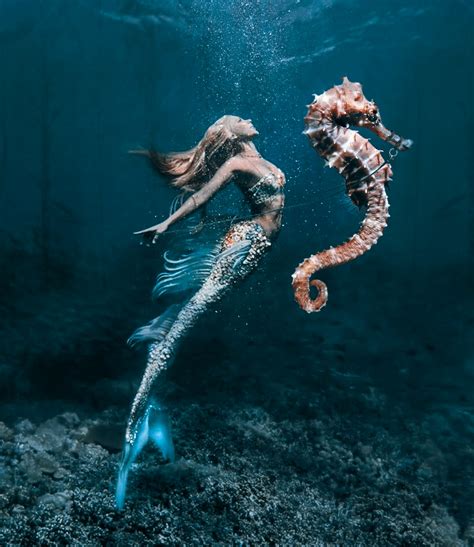 Mermaid's seahorse on Behance