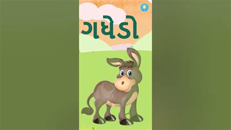 jangli prani hona naam | pet animals name in gujarati | paltu prani gujaratipaltu prani | # ...