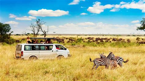 Get Best Wildlife Safari At These Destinations