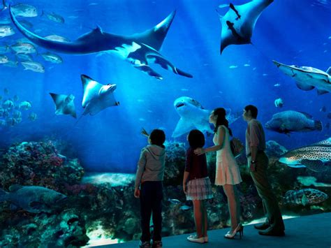 S.E.A. Aquarium™ Singapore Entry Ticket with Hotel Pick-up tours ...