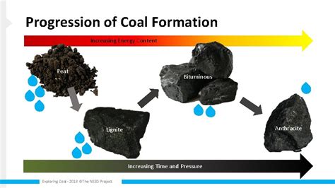 Exploring Coal Coal Formation and Composition Exploring Coal