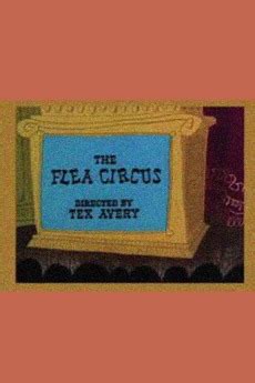 ‎The Flea Circus (1954) directed by Tex Avery • Reviews, film + cast • Letterboxd