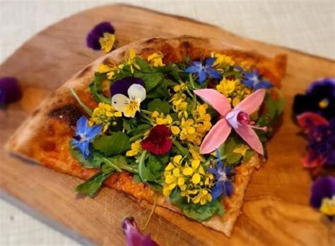 Edible Flower Pizza - A Gourmet Pizza Topping You Must Try!