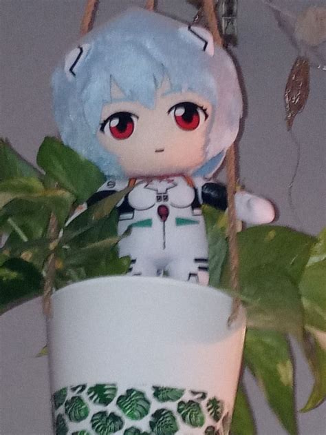 Rei Plush | Rei ayanami, Neon genesis evangelion, Rei