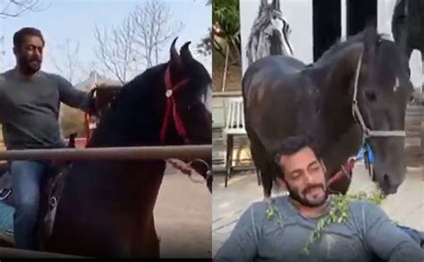 Salman Khan posts hilarious video from his farmhouse in Panvel