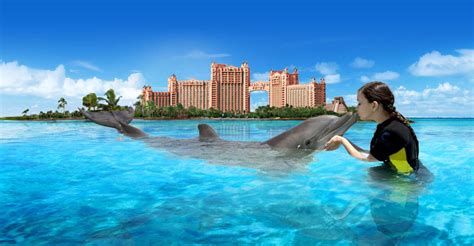 Dolphin Cay at Atlantis, Bahamas | Bahamas vacation, Paradise island ...