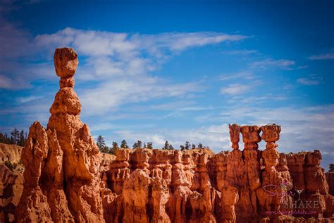 Friday Photo — Bryce Canyon National Park Hoodoos | Sugar + Shake