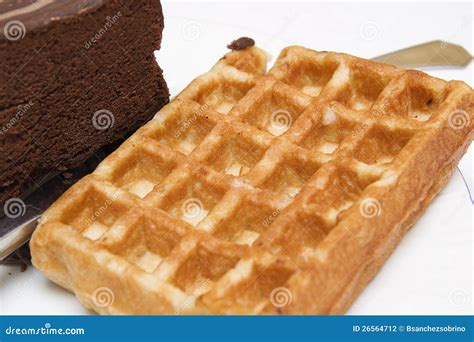 Waffle with chocolate cake stock photo. Image of cake - 26564712