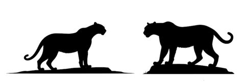 Premium Vector | Big black panther black panther silhouette isolated on white background