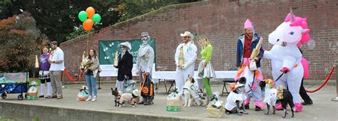 Halloween Pet Parade - Volunteer Park Trust