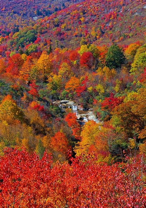 200 best Fall Color in NC Mountains images on Pinterest | Nc mountains ...