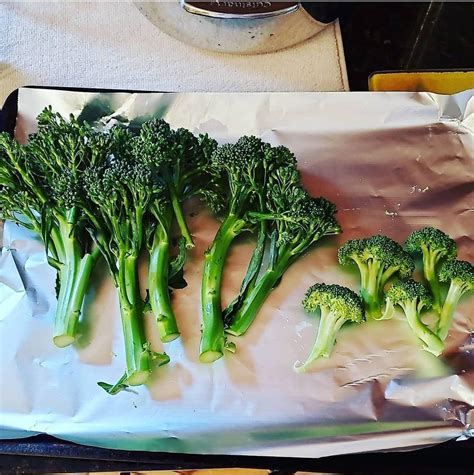 Broccolini vs. Broccoli! : r/broccoli