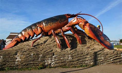 Shediac, New Brunswick: A Really Big Lobster – TakeMyTrip.com