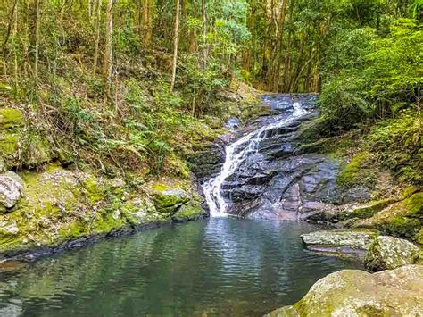 Find the Kondalilla Falls Swimming Hole & Walking Track