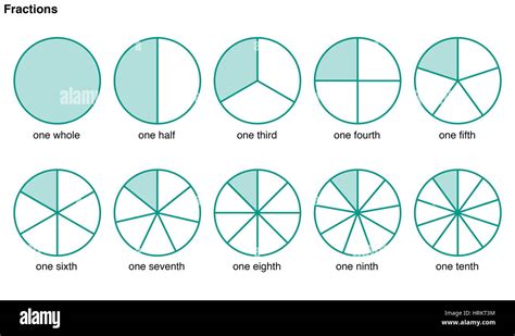 Cerchi diviso in porzioni per illustrare le seguenti frazioni, una intera e una mezza, una terza ...