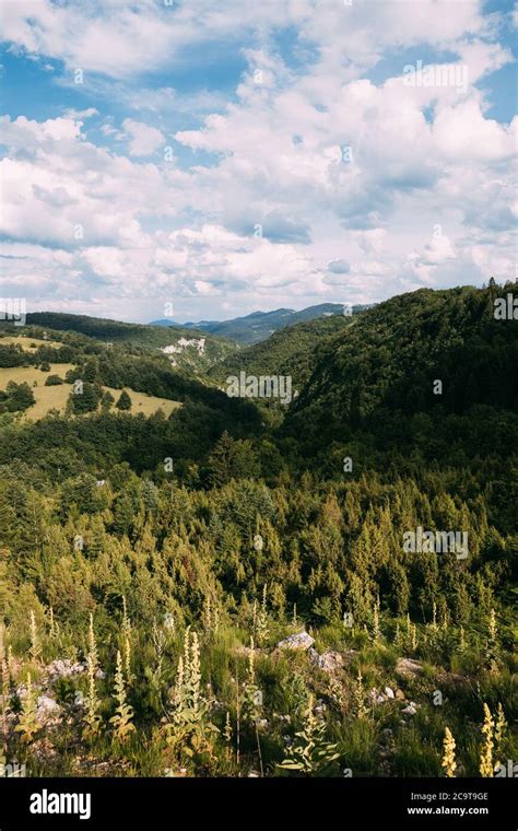 View of a beautiful landscape of Zlatibor mountain range in Serbia Stock Photo - Alamy