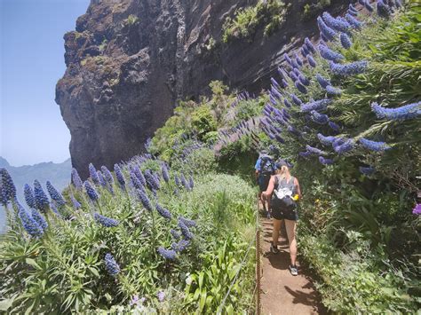 Hiking in Madeira: Traversing this Wild Atlantic Island