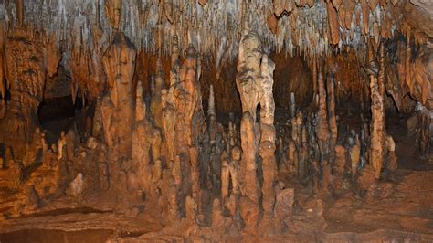 Florida Caverns – Florida Hikes